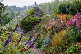 Ich träume von einem Cottage Garten. Verliebt in Rittersporn, Phlox & Fingerhut