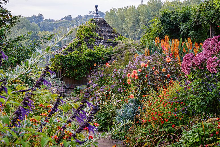 Ich träume von einem Cottage Garten. Verliebt in Rittersporn, Phlox & Fingerhut
