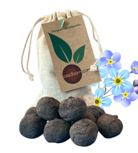 10 Seed bombs in a bag: Forget-me-not mix