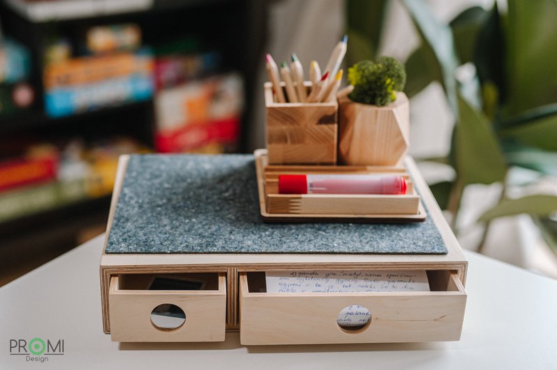 Wooden desk organizer with moss, Desk accessories with moss