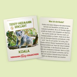 Koala 21 cm - plush toy - soft toy