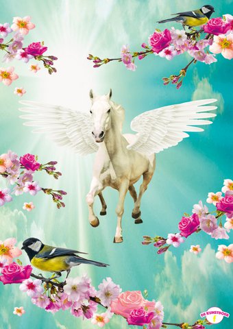 Affiche Pegasus