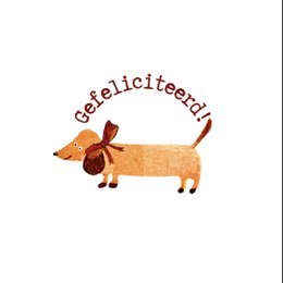 Kaart Gefeliciteerd Tekkel