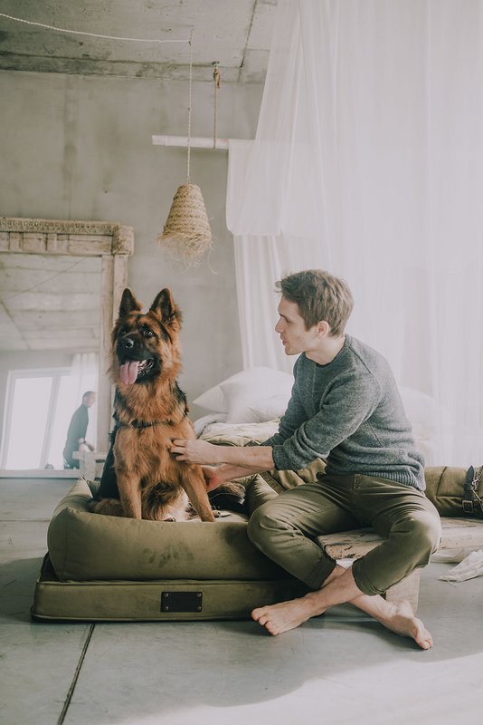 "Nero" tana per un cane e un gatto del marchio di cuccioli soffici, colore rosa sporco, materiale velluto, fatto a mano!