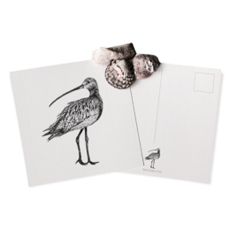 Curlew kort