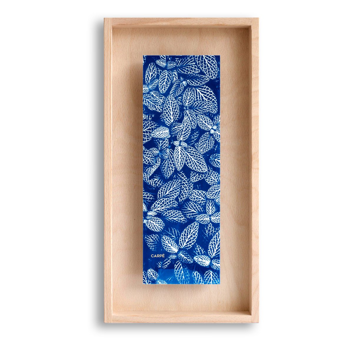 Cyanotype Fittonia