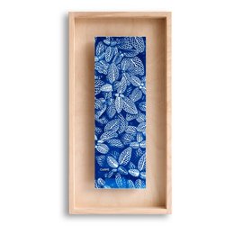 Cyanotype Fittonia