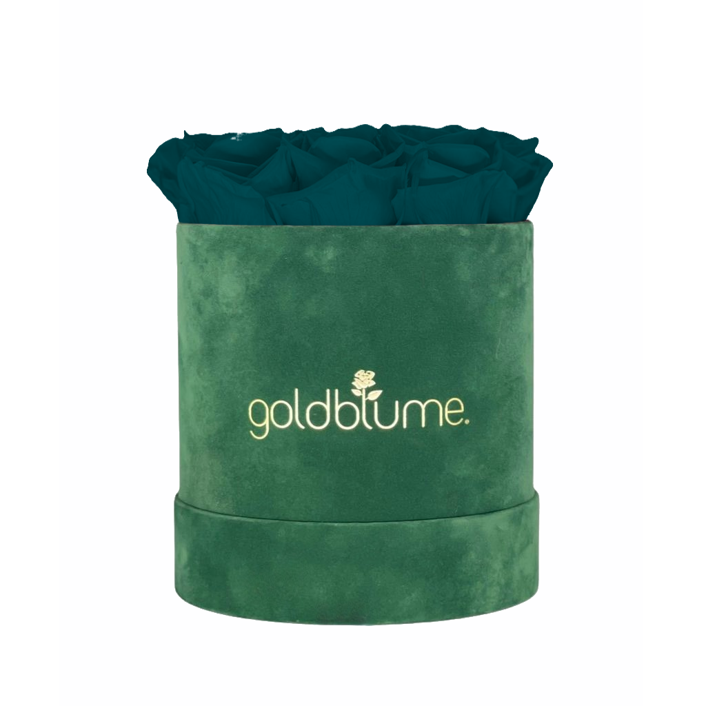 Velvet Green Collection