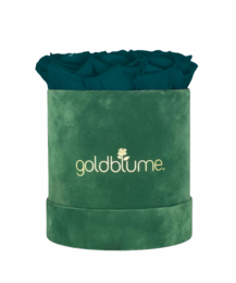 Velvet Green Collection