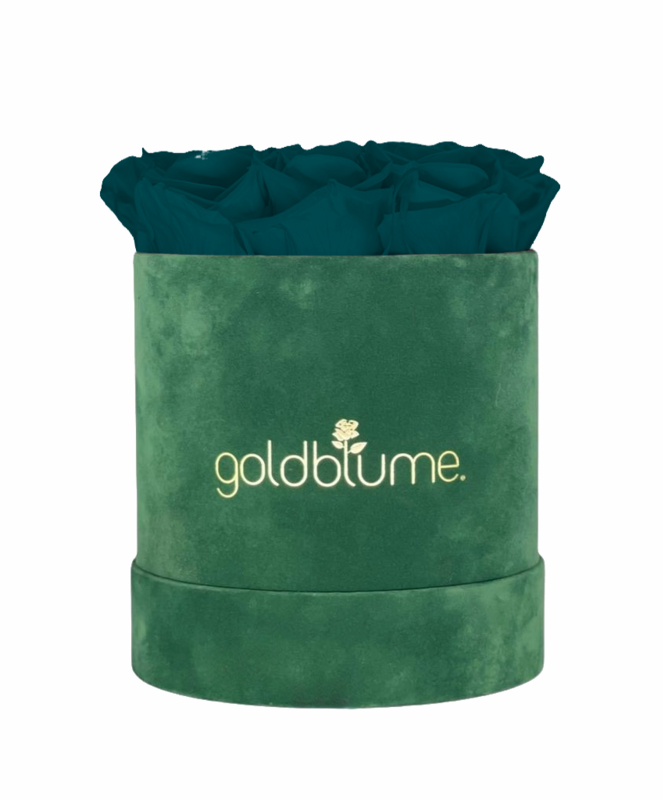Velvet Green Collection