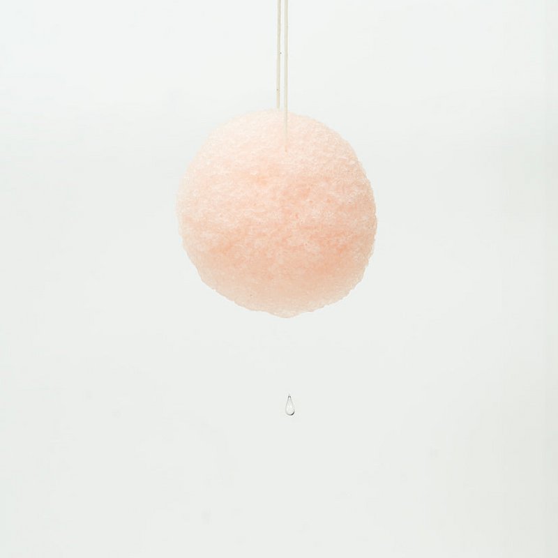 ORGANIC Konjac cleansing sponge with Sakura