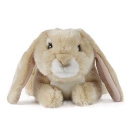 Light Brown Lop Eared Rabbit 24CM
