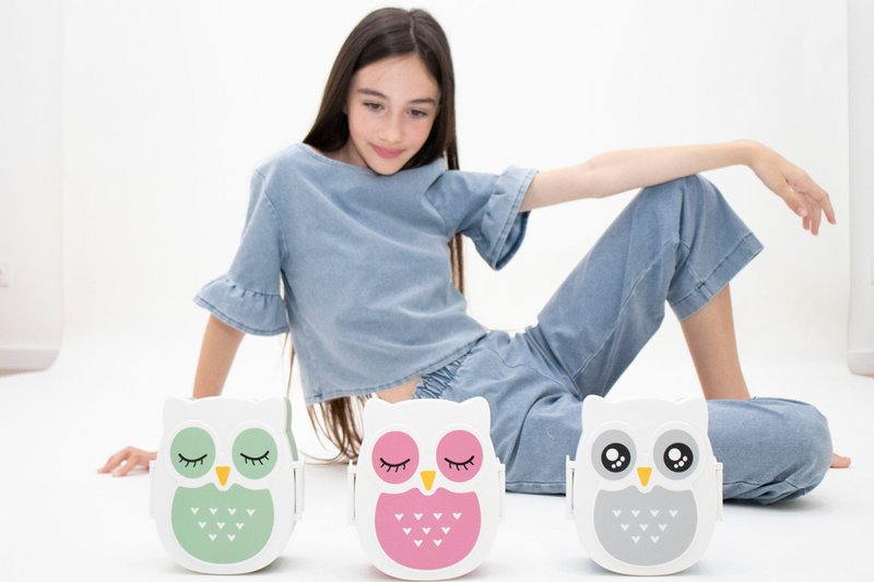 Snack box - Lunchbox Owl airtight & BPA free - Mint