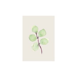 MINI TICKET | leaf