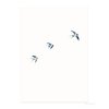 Postkarte | Rauchschwalbe fliegt