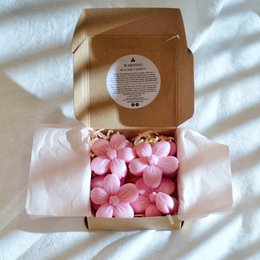 NOW Available Cherry Blossom Scented Natural Rapeseed Wax Melt (Pack of 6)