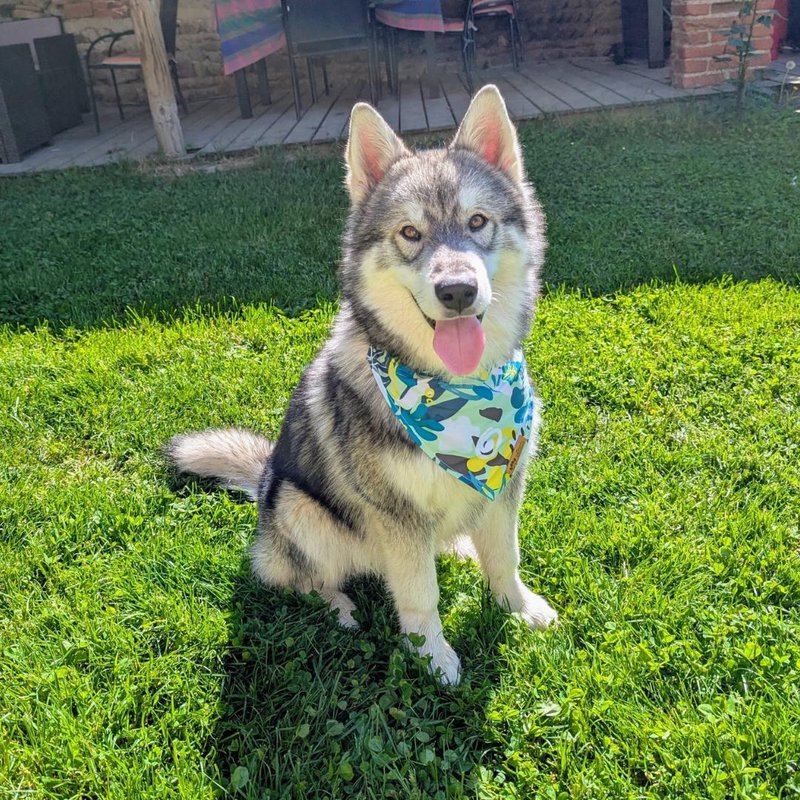 Reef necklace and bandana
