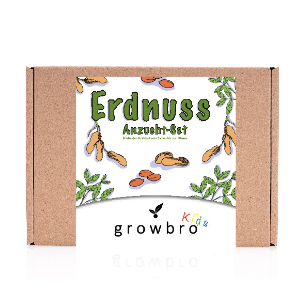 ensemble de culture d'arachides pour enfants growbro, ensemble de découverte de jardin, enfants chercheurs, cadeau pour enfants, cadeau d'anniversaire pour enfants, expérience à apporter