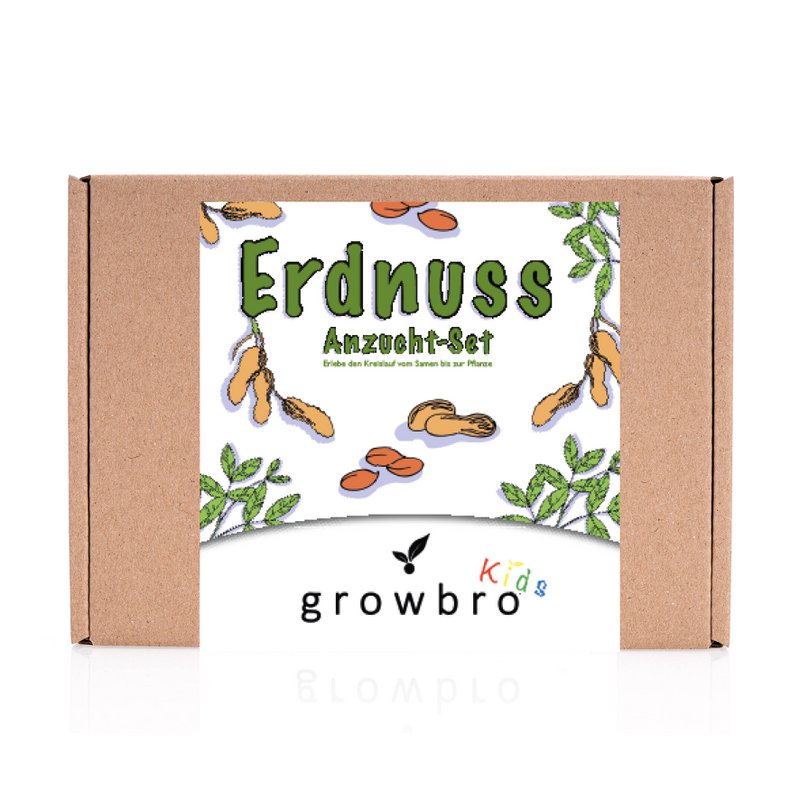growbro kids set per la coltivazione di arachidi, set per la scoperta del giardino, bambini ricercatori, regalo per bambini, regalo di compleanno per bambini, esperimento da portare con sé