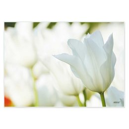 White spring placemats, 42 x 30 cm, made of plastic, wipe clean, for kitchen, dining area, guests, indoor and outdoor use.