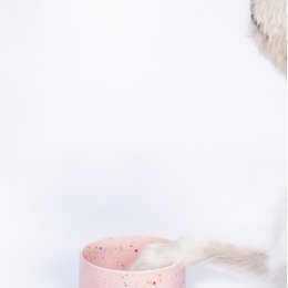 New Party Pet Bowl 14cm Set 2 Pink