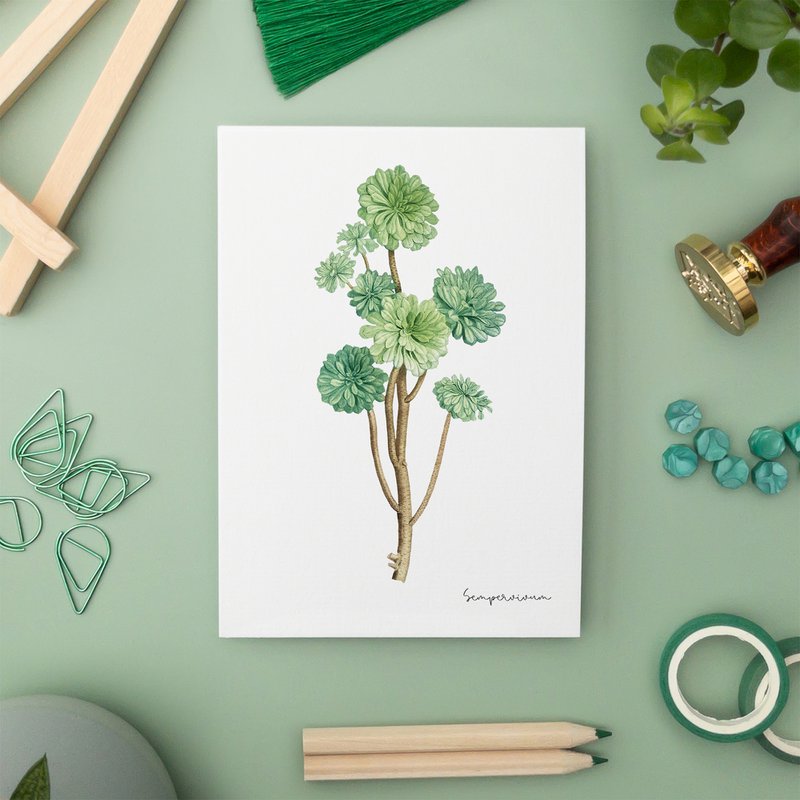 Green Pack - Handgemaakte Ansichtkaarten A6 met Envelop - Botanische Vintage