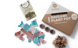 Trousse Urban Jungle - Collection classique