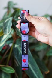Adjustable pet collar in navy blue with red heart design, suitable for small to medium dogs.
