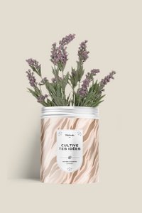 Seed kit - GROW YOUR IDEAS