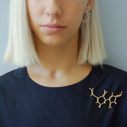 Amarres broche / verguld