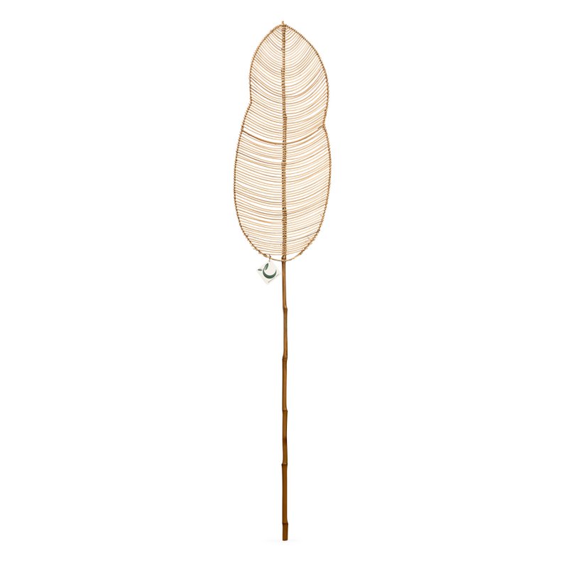 Feuille de rotin Pomme