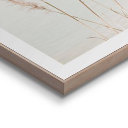 Painting Slim Frame Pampas 40x30