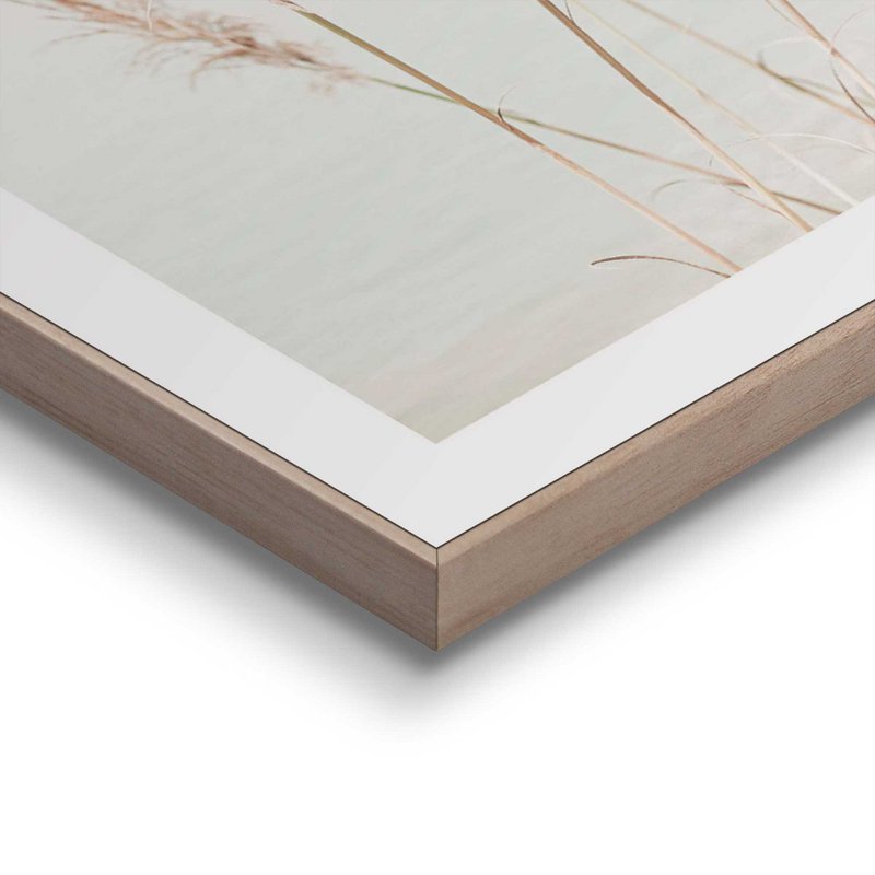 Painting Slim Frame Pampas 40x30
