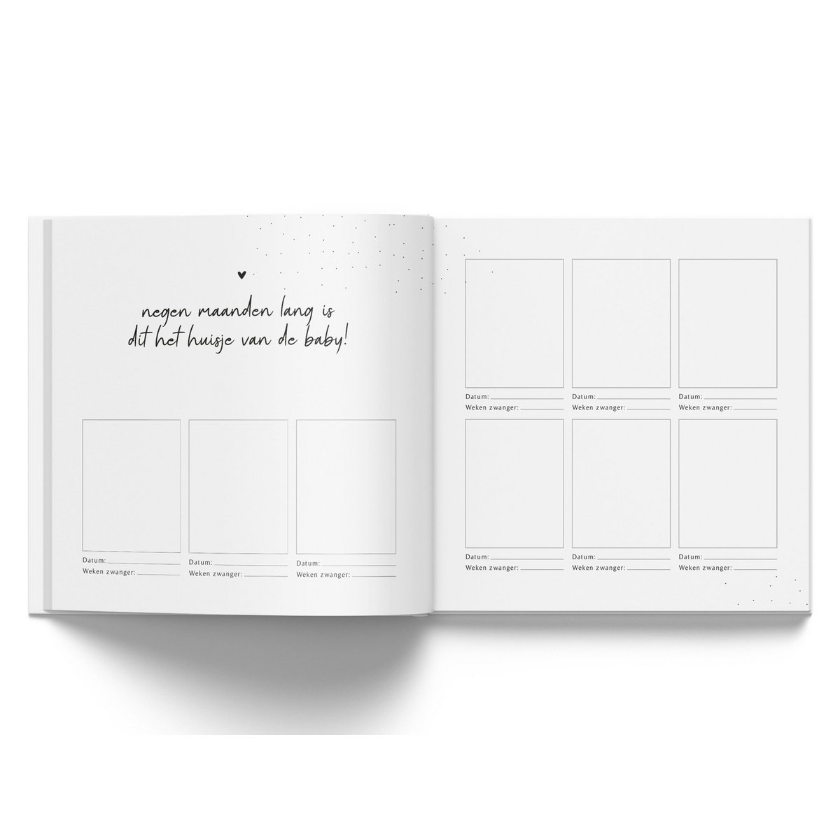 Fyllbooks mi diario de nueve meses
