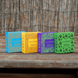 Saures festes Shampoo (Zitronen- und Zimtextrakt) – 50 g