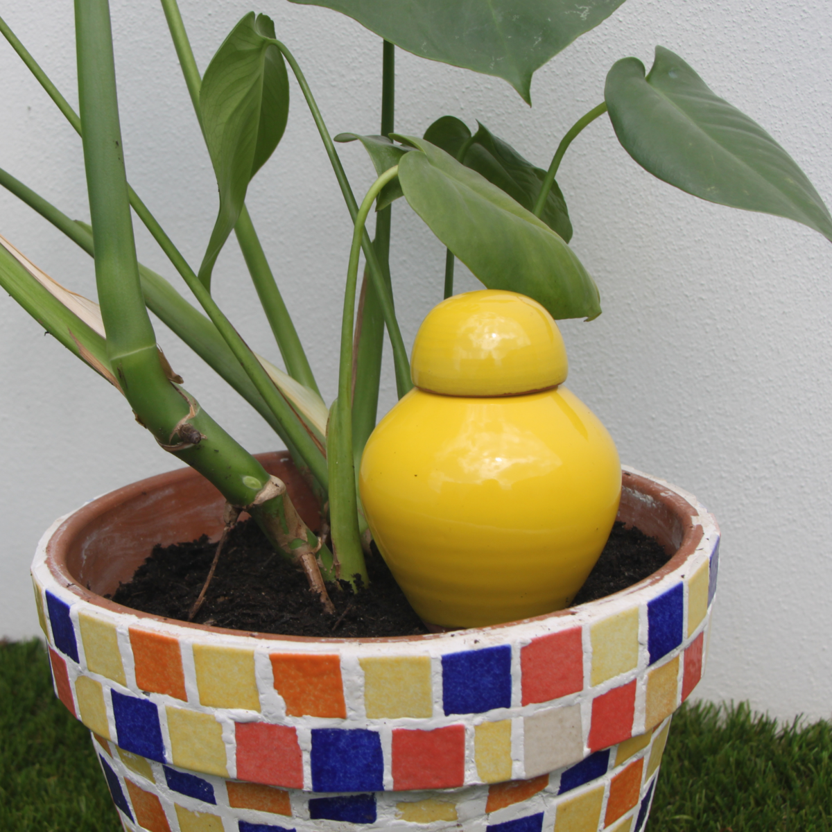 jaune citron
