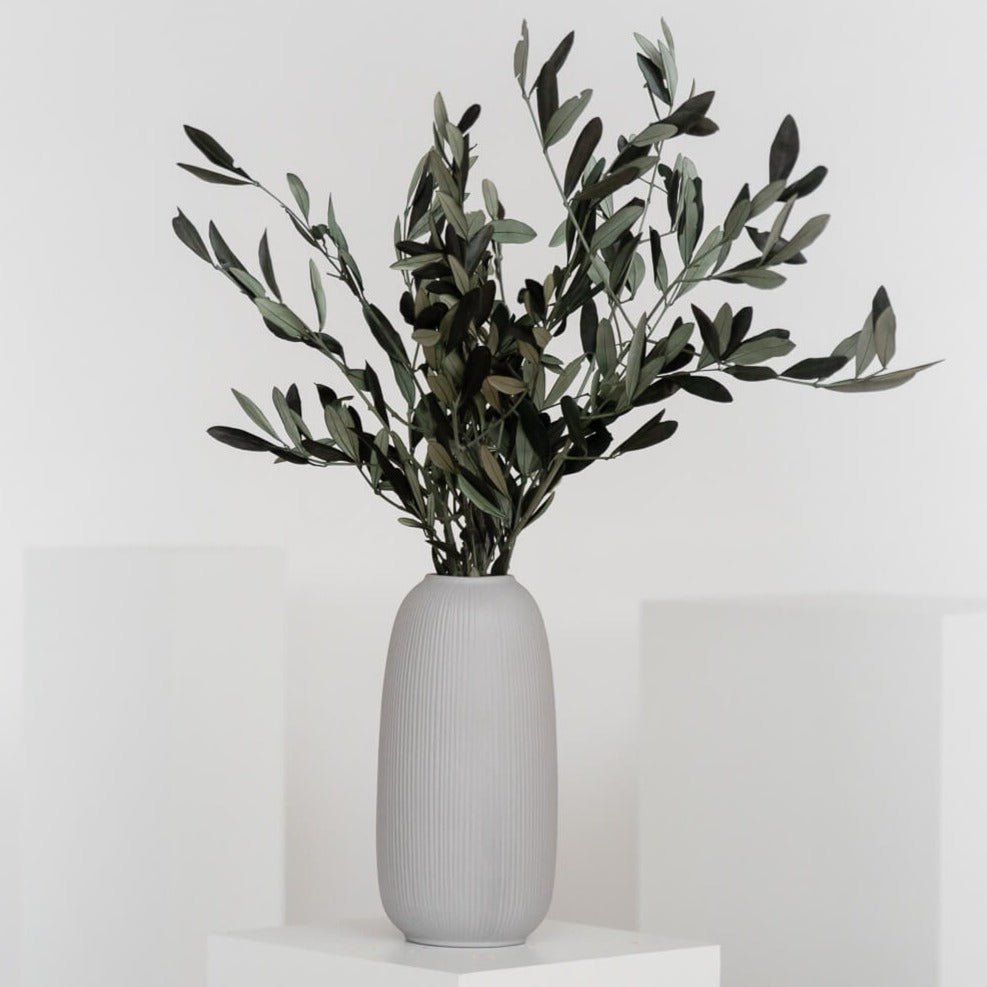 Preserved olive branches green from Italy