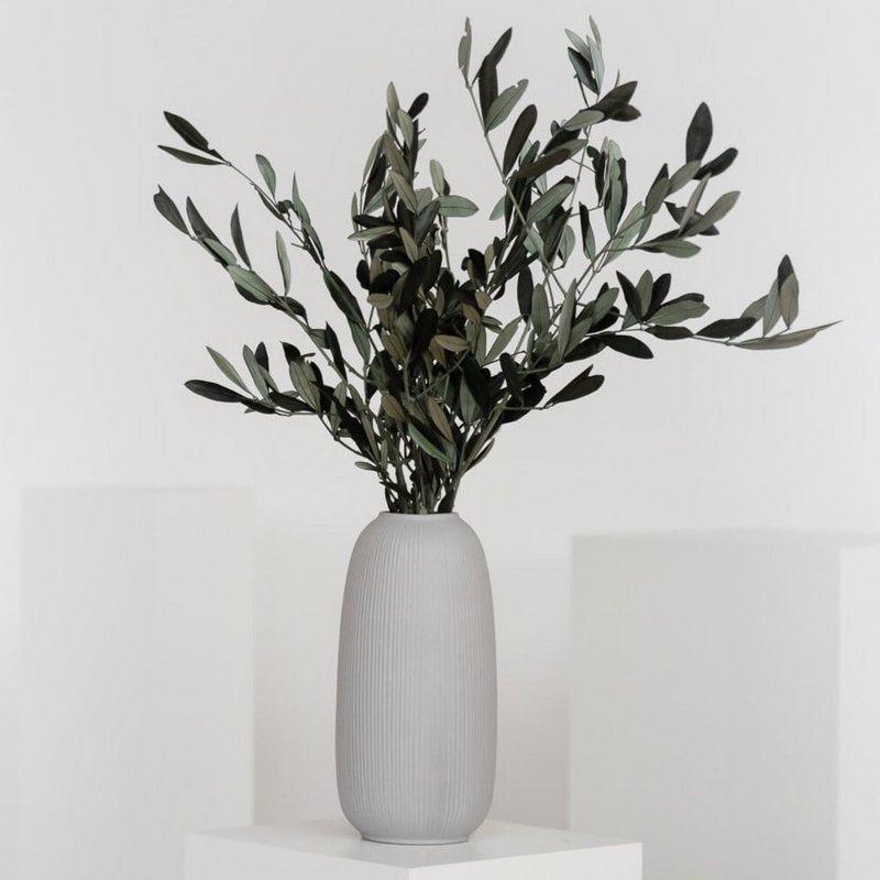 Preserved olive branches green from Italy
