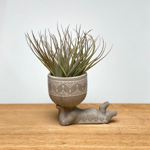 Lazy Airplant man (grey)