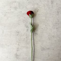 Rosa viola rosso