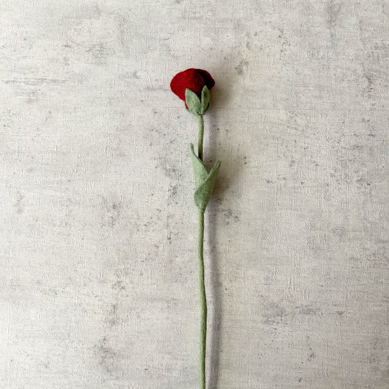 Rosa viola rosso