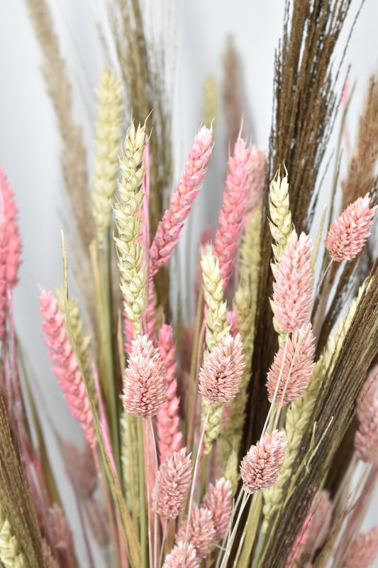 Dried flower bouquet - Soft pink - 70 cm - Natural Flower Copy