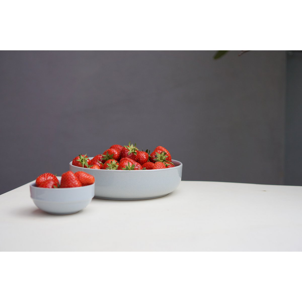 Shell 22 cm with lid/plate Hollyhock - Fjord Blue - 1,000 ml