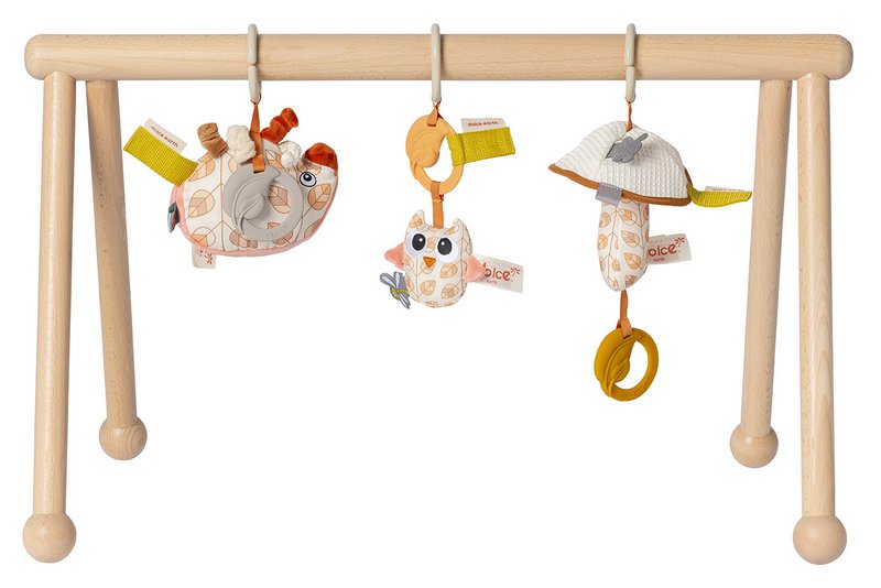 Van Dijk Toys & Dolce Houten Baby Gym Earth (Childcare Quality)