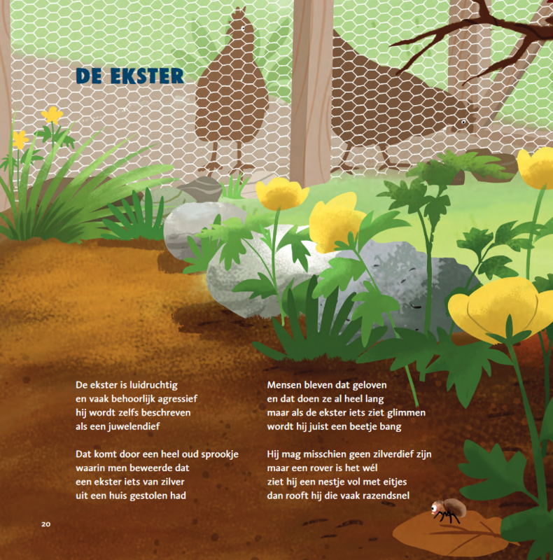 Marianne Busser & Ron Schröder - The thick bird book