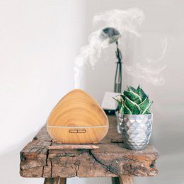 Zen Pro - Helles Holz - Aroma Diffusor
