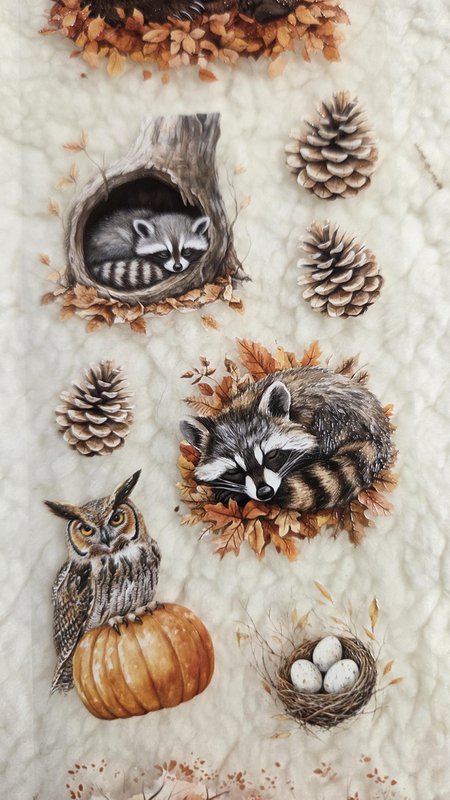 Woodland Stories - PET Tape