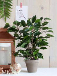 Kunstplant Ficus natasja Groen
