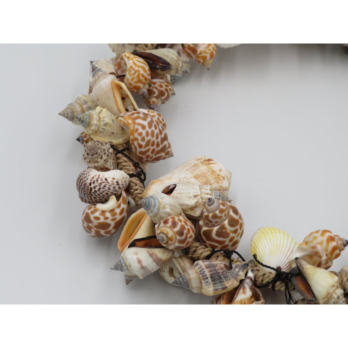 Muschelkranz 25 cm