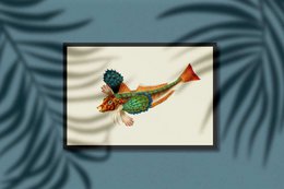 Japanese Gurnard